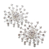 Snow-Flower Crystal Rhinestone Shoe Clip - Accessories for shoes